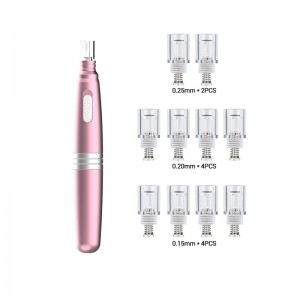 Home Use Skin Care Tool Beauty Equipment Electric MTS Meso Agujas Derma Roller Disposable Silicon Cartridge Nano Needling Pen