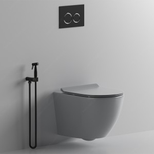 ceramic sanitary ware Matte Grey Rimless wall hung toilet commode water closet bidet for hotel bathroom equipment