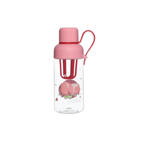 Wholesale Bpa Free 480ml reusable plastic water bottle portable fruit infuser drink bottle water bottles