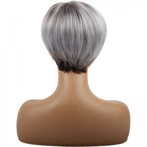 Hot Selling Gradient Silver Gray Ladies Short Hair Wig Oblique Bangs Synthetic Wig